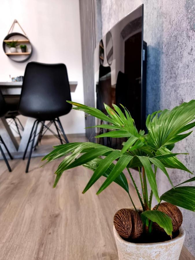Apartament Jelonek w Karkonoszach Jelenia Góra Zewnętrze zdjęcie