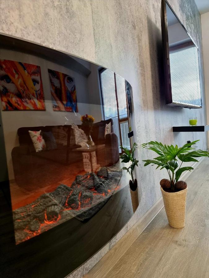 Apartament Jelonek w Karkonoszach Jelenia Góra Zewnętrze zdjęcie