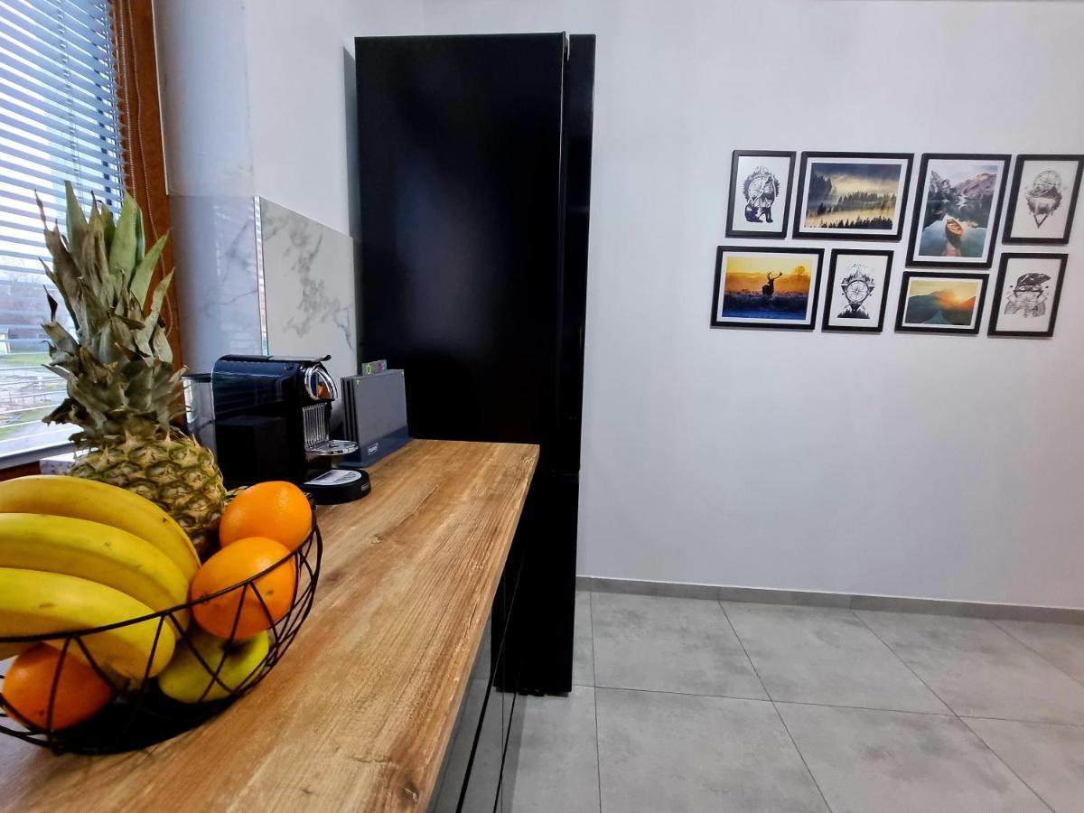 Apartament Jelonek w Karkonoszach Jelenia Góra Zewnętrze zdjęcie