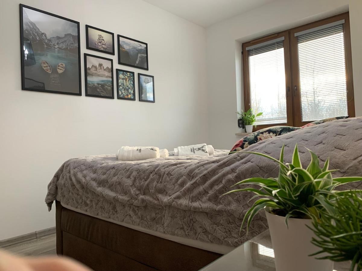 Apartament Jelonek w Karkonoszach Jelenia Góra Zewnętrze zdjęcie